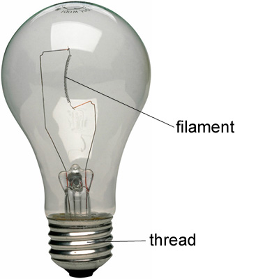 تصویر کلمه bulb